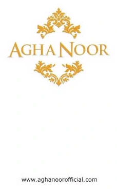 Agha Noor logo